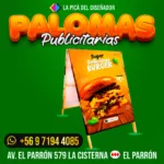 Paloma 2 caras 70x120 cms